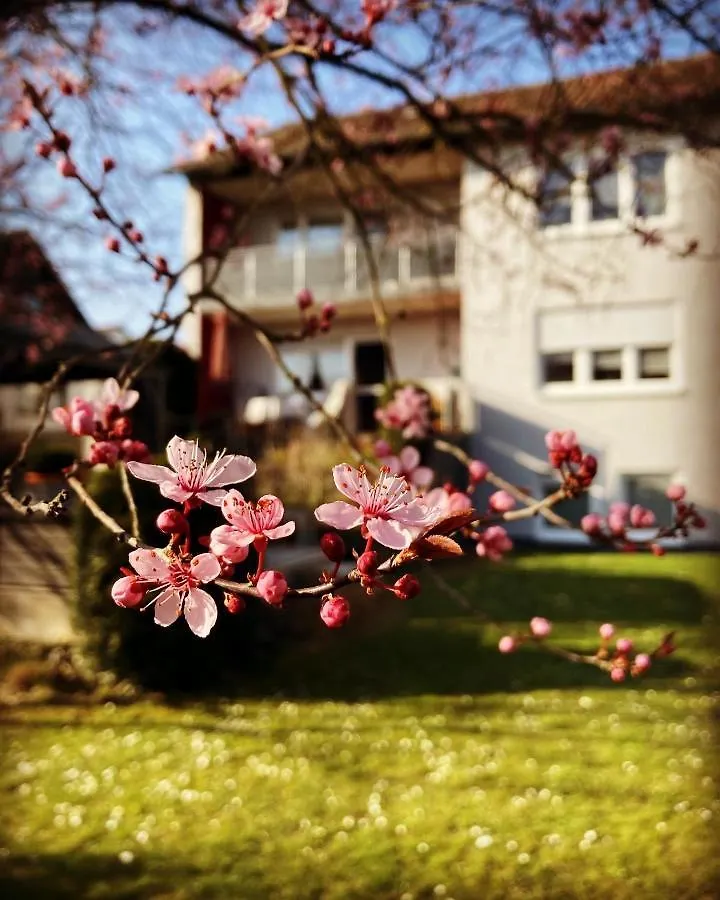 Apartmán Ferienwohnung Im Aalbachtal - Uettingen Bei Wuerzburg