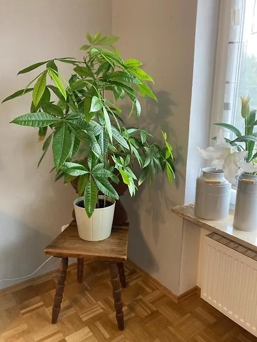 Apartment Ferienwohnung Im Aalbachtal - Uettingen Bei Wuerzburg